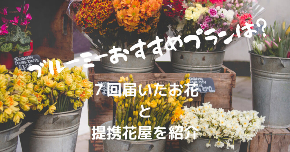 ブルーミー ３プランのおすすめは ７回届いたお花と提携花屋を検証