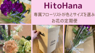 【レビュー】HitoHana（ひとはな）実際に届いたお花や口コミ！色とサイズが選べる 