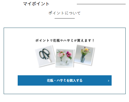 マイポイントについて