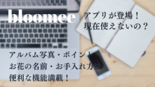 ブルーミー（bloome）アプリは使えない！｜アルバムやポイントが貯まる機能の使い方 