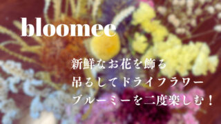 ブルーミー（bloomee）を二度楽しむ｜簡単！吊るしてドライフラワー 