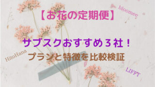 【お花の定期便】実際に利用したおすすめ３社の特徴を比較検証！ 