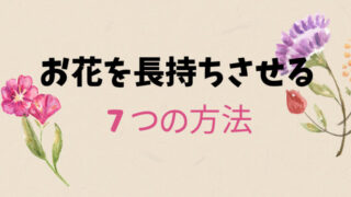 切り花を長持ちさせる７つの方法！ひと手間かけてお花を楽しむ 