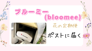 【お花の定期便】ブルーミー（bloomee）｜実際にポストに届いたお花をご紹介！ 
