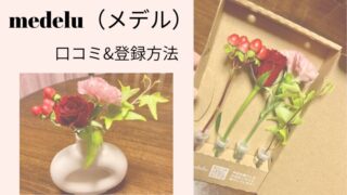 medelu(メデル）お花の定期便の口コミ｜おすすめはMiniプラン！実際に届いたお花と登録方法 