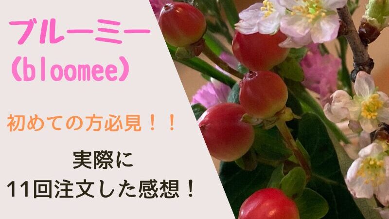 【初めての方必見！】ブルーミー（bloomee）｜10回以上利用したお花と提携花屋をご紹介！ 